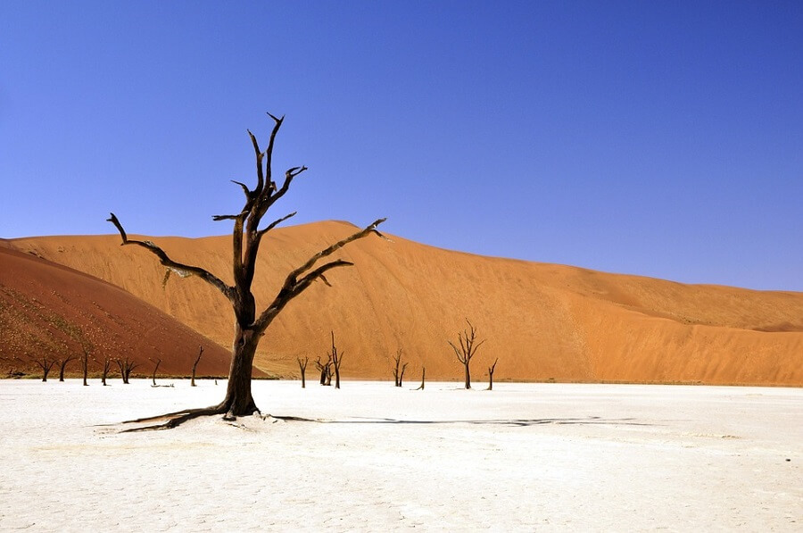 Namibian desert as part of the Epic Tomato luxury travel companies