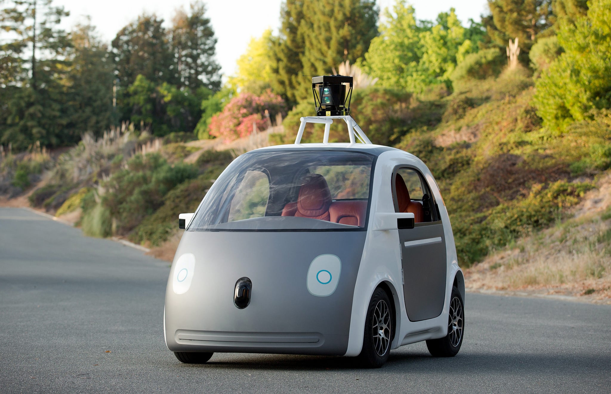 autonomous, autonomous car