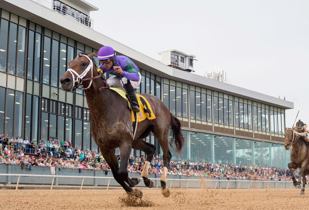 Kentucky Derby, Kentucky Derby contenders,Kentucky Derby 2018, Kentucky Derby thoroughbreds, Run for the Roses, stakes races, racehorse, horse race, horse races, Churchill Downs, Justify, Justify racehorse, Magnum Moon, Magnum Moon racehorse, Mendelssohn, Mendelssohn racehorse, garland of roses, the twin spires