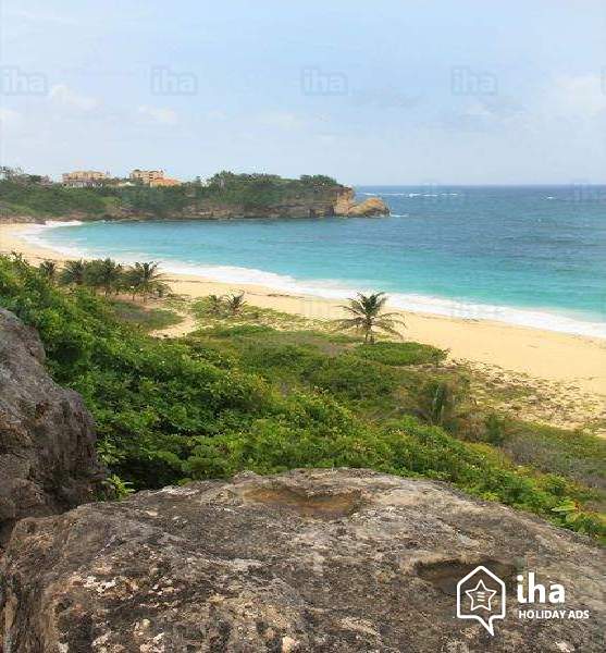 things to do in Barbados, what to do in Barbados, best things to do in Barbados, top things to do in Barbados, fun things to do in Barbados, things to know about Barbados, best things to do in Barbados, Barbados to do list, fun things to do in Barbados.