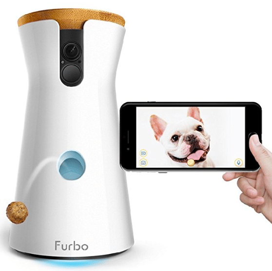 Pet gadgets, dog owners, dog camera, dog feeding, dog training collar, how to train your dog, the best pet gadgets for your dog, dog owner gadgets, technology to train your dog, dog technology