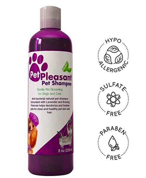 how to pamper your pet, pamper your pet, dog grooming verona nj, pamper your pet verona nj