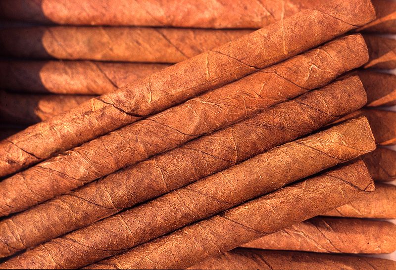 volenx cigar humidor, volenx cigar humidor review