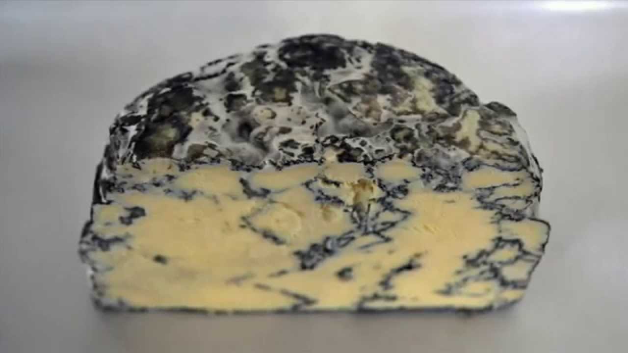 most expensive cheeses, most expensive cheese, most expensive cheese in the world, pule cheese, moose cheese, 