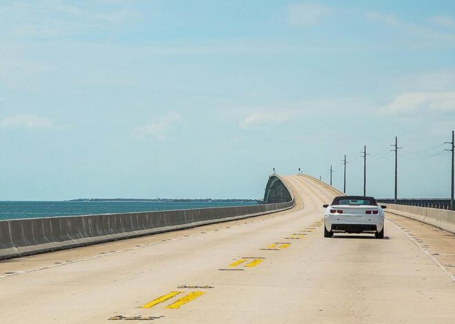 From Coastlines to Highways: Planning the Perfect Road Trip with Summer Tires
